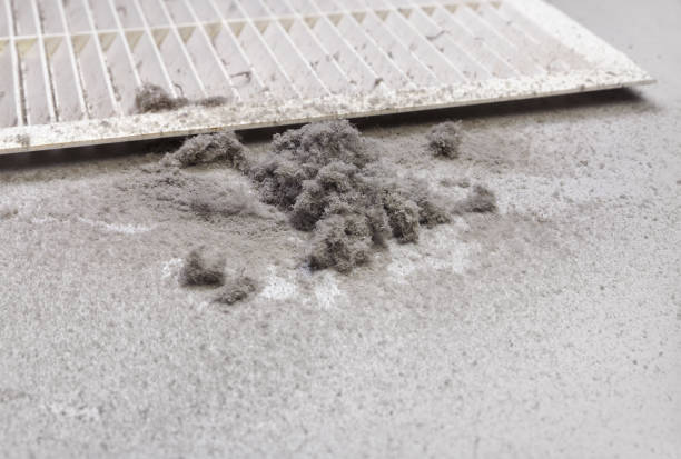 Best Best Air Duct Cleaning Company  in Tyler, TX